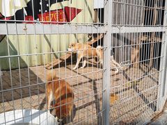 -清风小镇闯关东影视基地