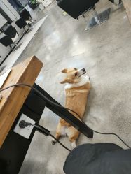 -蚂蚁造型俱乐部