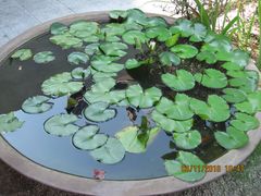 -槟城观音庙(Goddess of Mercy)