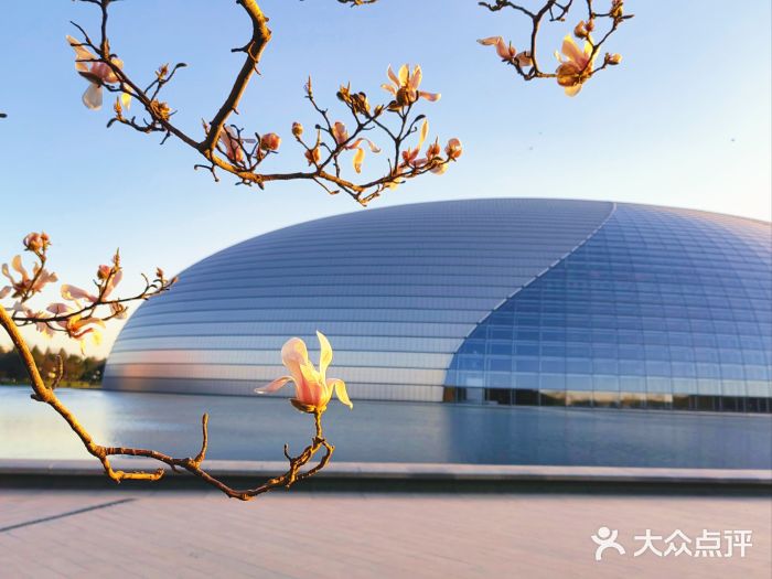 国家大剧院图片