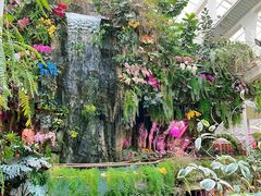 -正佳雨林生态植物园