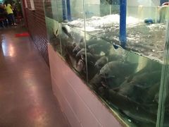 -湄公河秘制烤鱼(西双十贰城商业中心店)