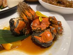 -南麓·浙里(外滩店)