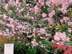 -龙华寺
