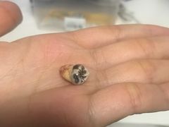 -北京市健宫医院