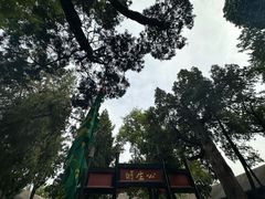 -保定直隶总督署博物馆