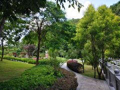 -神光山国家森林公园