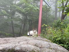 -崂山巨峰游览区