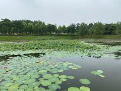 -郑东新区龙湖公共艺术中心