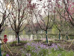 -梁鸿国家湿地公园