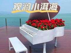 -观澜小洱海