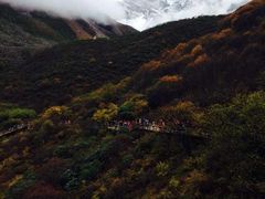 -黄龙山原始森林景区
