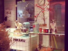 -MIKAKU(万达广场上海宝山店)