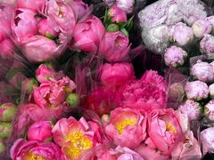 -循礼门鲜花花市(武汉循礼门店)