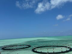 -卡帕莱度假村(西巴丹岛)