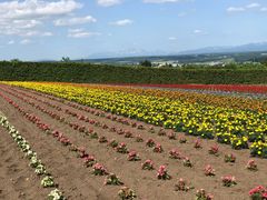 -富田农场
