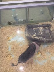 -meland亲子乐园•派对•研学(苏州悠方购物中心店)