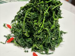 红果枸杞苗-清真·宁夏印象·盐池滩羊肉体验店(江宁路店)