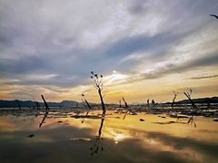 -盐洲岛