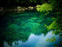 -石台牯牛降景区