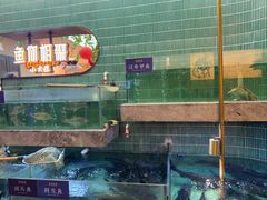 -鱼你相聚·河鲜馆(袁家岭店)