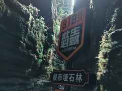 -梭布垭石林景区