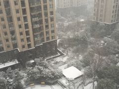 -黑鱼郭我家酸菜鱼(摩尔广场店)
