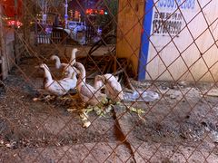 -鱼窝棚柴火铁锅炖(富山屯店)