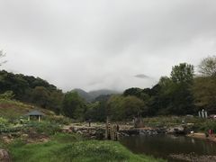 -广州市石门国家森林公园