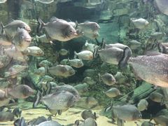 -临沂极地海洋王国