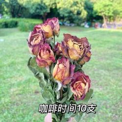 -小梨·OndaPro·专业脱毛连锁机构