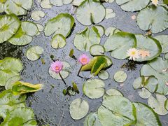 -北山街历史文化街区