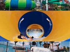 -阳宗海湿地