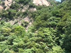 -神牛大峡谷