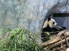 -深圳野生动物园
