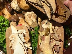 -芸山季·云南山珍菌火锅(人民广场来福士店)