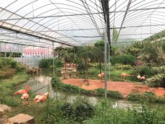 -无锡动物园·太湖欢乐园