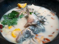 -鲜潭蒸汽石锅鱼(五道口购物中心店)