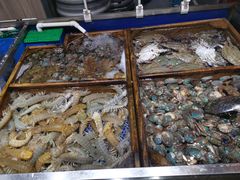 -船歌·鱼水饺青岛菜(金狮广场店)