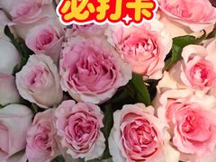 -盒马鲜生(顺义店)