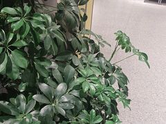 -陈熹公民族美食文化餐厅(中华广场店)