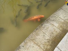 -沈阳植物园