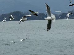 -蠡湖大桥公园
