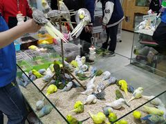 -三旗百汇商品城