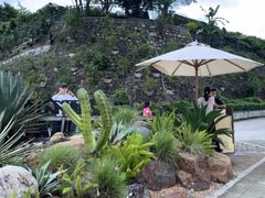 -Brew Farm·精酿农场海滨悬崖餐厅