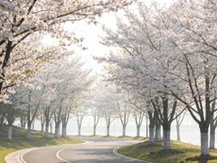 -龙湖杭州滨江天街