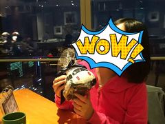 -视界美食自助餐厅·石家庄希尔顿酒店