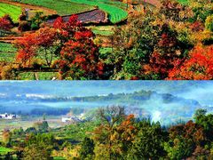 -塔川景区