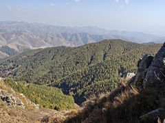 -苏木山森林公园