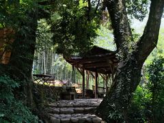 -杨家堂村